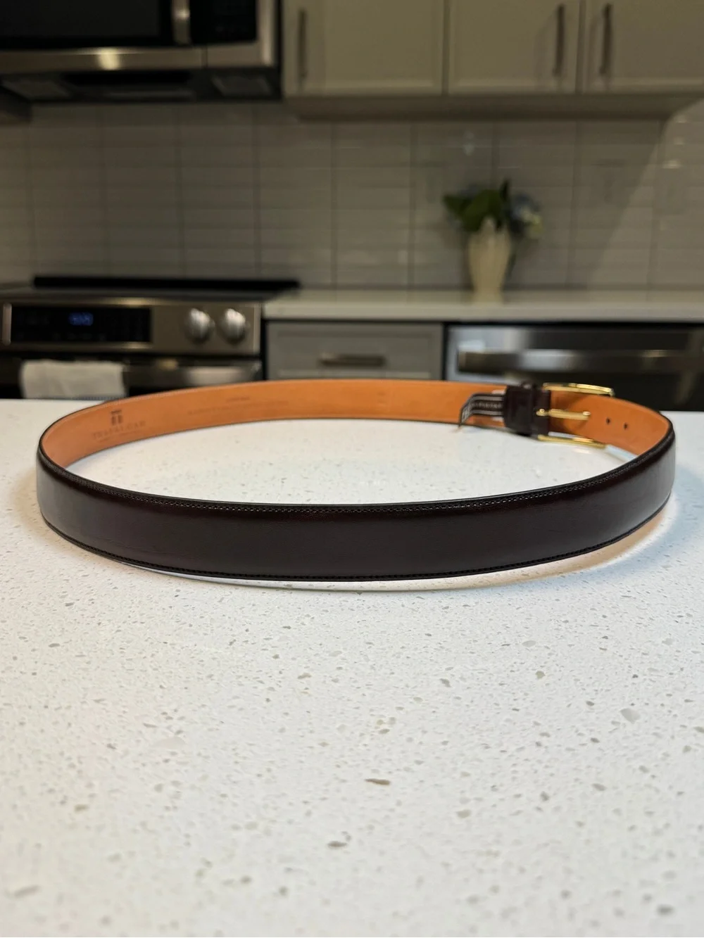 Trafalgar Dark Brown Cortina Leather Belt Square Solid Brass Buckle 38